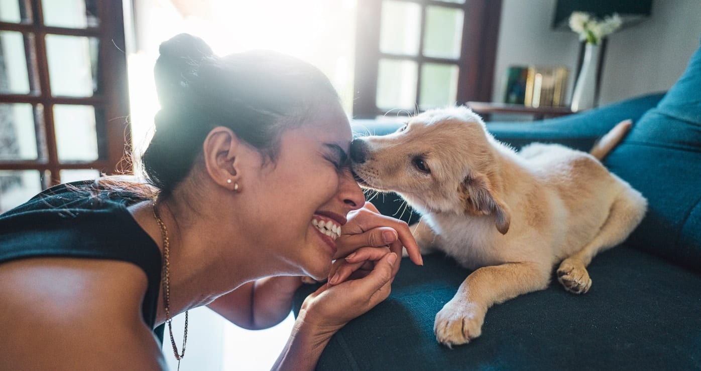 Un perro pequeño sentado en un sillón dandole un beso a una mujer.