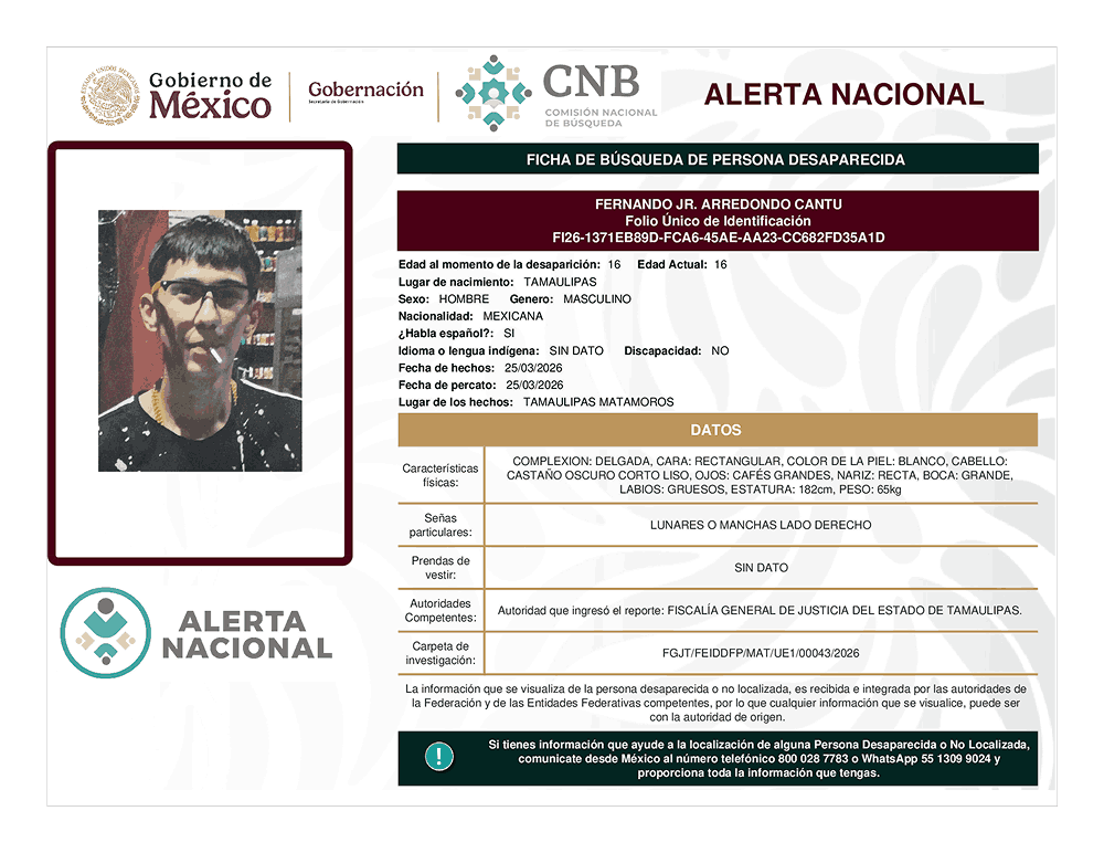 Persona desaparecida Fernando JR