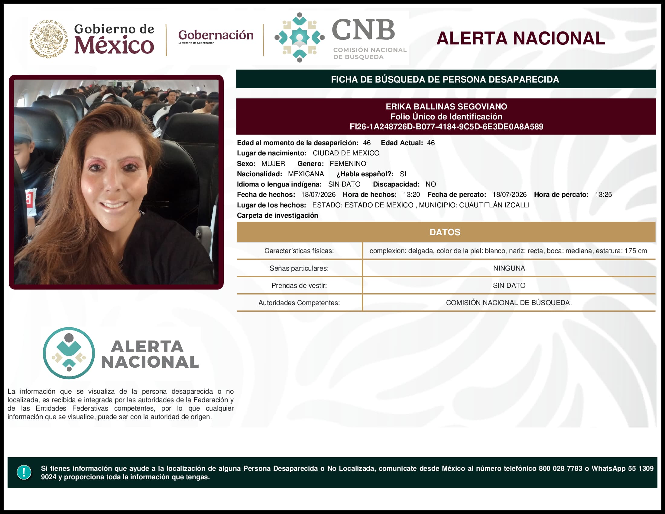 Persona desaparecida Erika Ballinas Segoviano