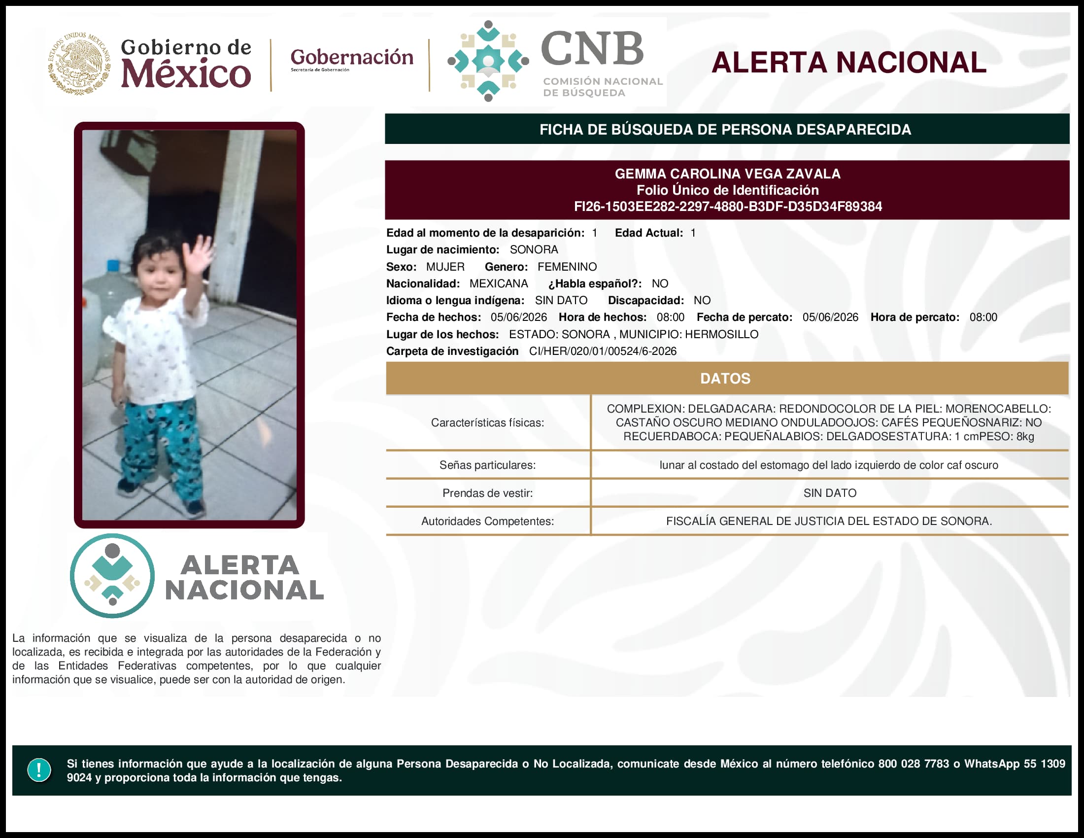 Persona desaparecida Gemma Carolina Vega Zavala